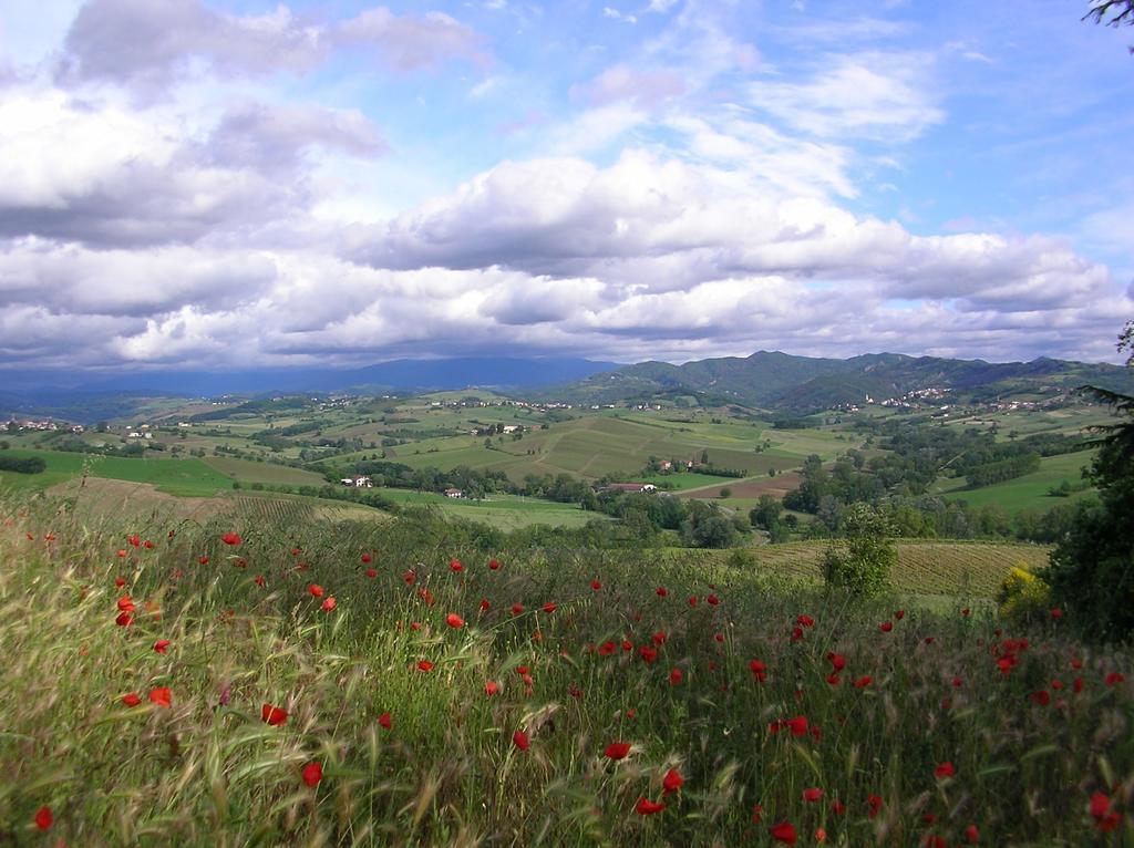 Villa Dei Romaniani Villaromagnano ภายนอก รูปภาพ