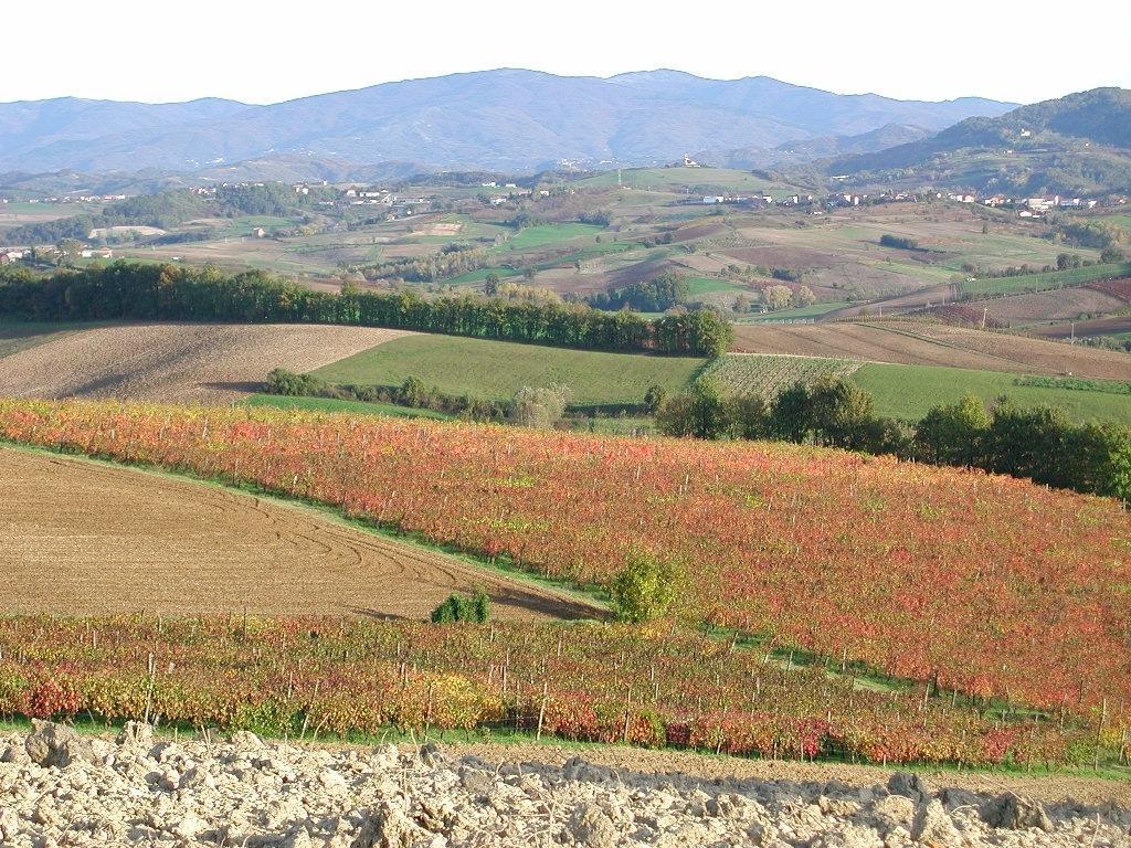 Villa Dei Romaniani Villaromagnano ภายนอก รูปภาพ