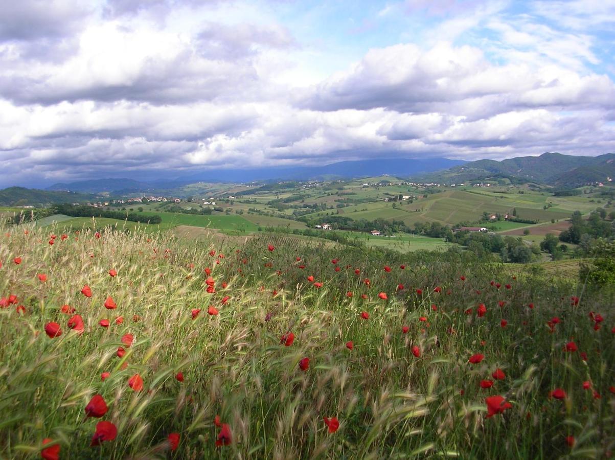 Villa Dei Romaniani Villaromagnano ภายนอก รูปภาพ